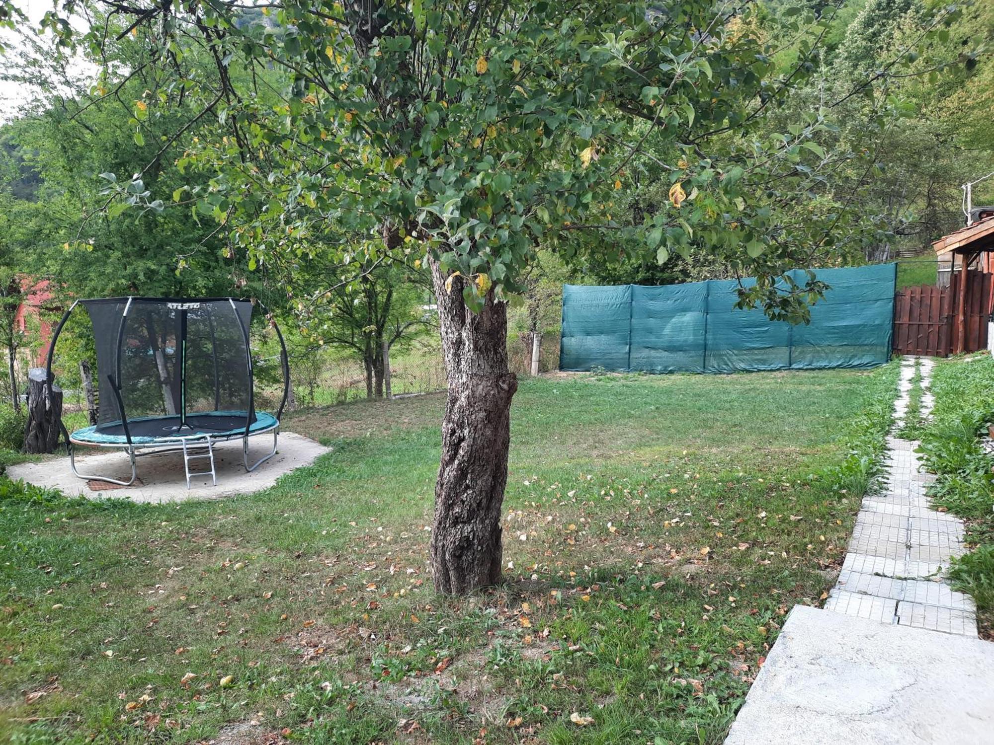 ריבריקה Guest House Lazar Raykov מראה חיצוני תמונה