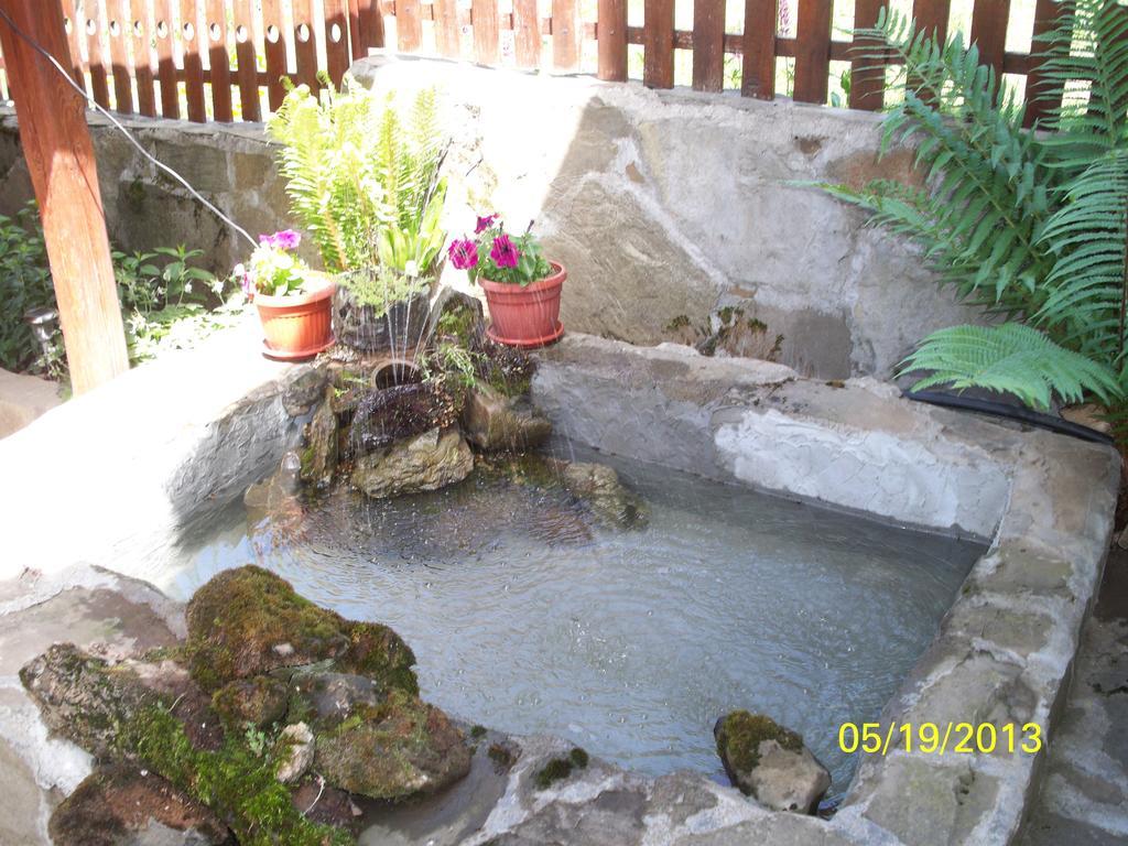 ריבריקה Guest House Lazar Raykov מראה חיצוני תמונה